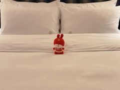 -惠州康帝国际酒店