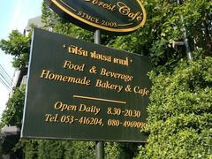 -Fern Forest Cafe