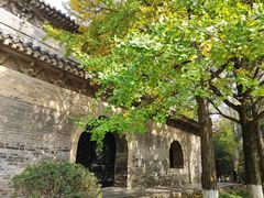 -灵谷景区