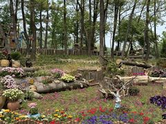 -沂蒙山旅游区云蒙景区(蒙山国家森林公园)