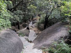 -火炉山森林公园
