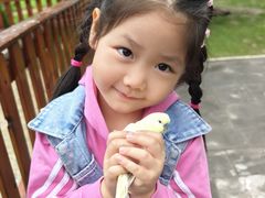 -横道河子东北虎林园