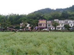 -红山村