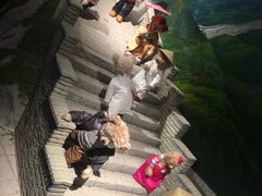 -成都泰迪熊博物馆