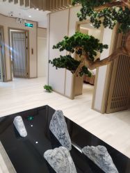 -HQ半永久纹绣纹眉