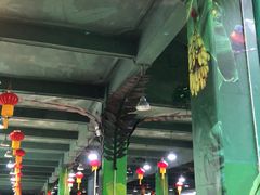 -海南热带野生动植物园