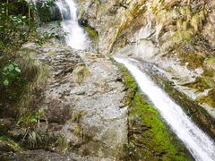 -东天目山风景区