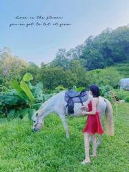 -花漾摄影优选工作室(东莞原创作品店)