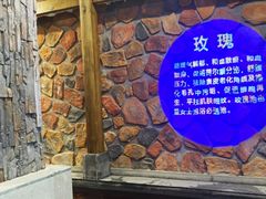 -东方之珠洗浴休闲广场(南开店)