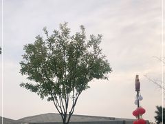 -北京周口店北京人遗址博物馆