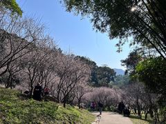 -广州市白云山风景名胜区