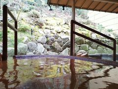 -有马温泉 竹取亭円山温泉旅馆