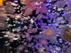 -太平洋海底世界