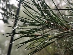 -终南山南五台景区