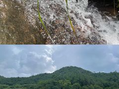 -广州白江湖森林公园