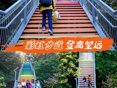 -佛山华盖山公园