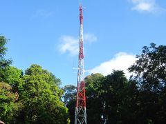 -武吉知马自然保护区