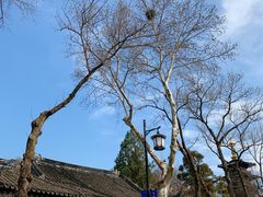 -枫桥景区
