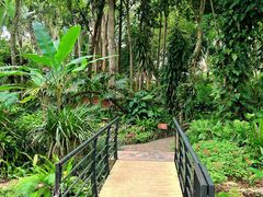-中国科学院西双版纳热带植物园