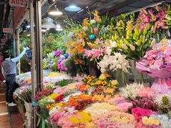 -朝来春花卉市场