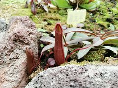 -南通洲际绿博园