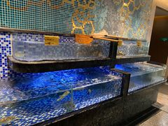 水产区-寻味顺德·珍之宝酒楼(银钻店)