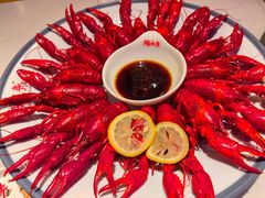 -杨氏青龙虾·羊蝎子(托乐嘉店)