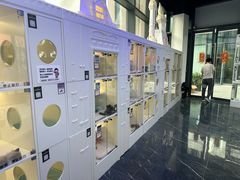 -小猫来了·猫咪专售(红山六九七九店)