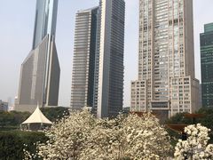 -陆家嘴中心绿地