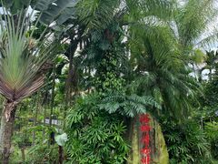 -兴隆隆苑咖啡庄园
