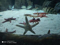 -福州罗源湾海洋世界旅游区