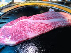 -炑八韩烤(琼华店)