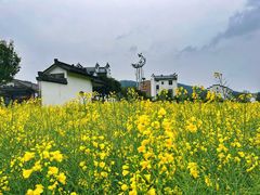 -婺源月亮湾