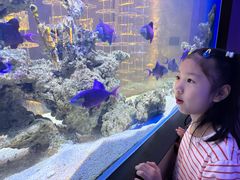 -上和臻品中国菜(花园街店)