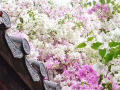 -深圳国际园林花卉博览园