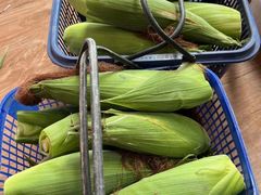 -南汇新场正宗水蜜桃采摘