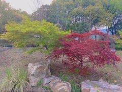 -宝岩生态观光园