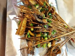 鳝鱼-晓靖轩烧烤(沙河风情店)