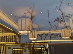 脆皮鸡-水月周庄铂尔曼酒店-水月荟中餐厅