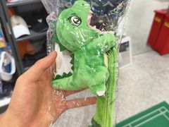 -YONEX苗江运动城(源深店)