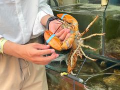 水产区-来之顺海鲜菜馆·青岛菜(栈桥店)
