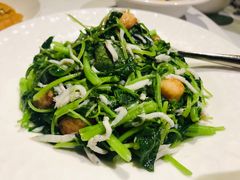 -欣叶食艺轩