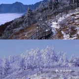 昨天的西岭雪山