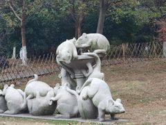-华西村