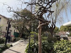 -兰溪青年公园