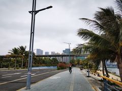 -中澳友谊花园
