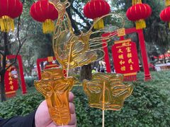 -房湖公园