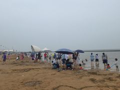 -碧海金沙