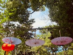 -敬亭山风景名胜区