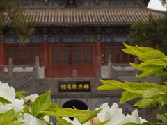 -洛阳白马寺